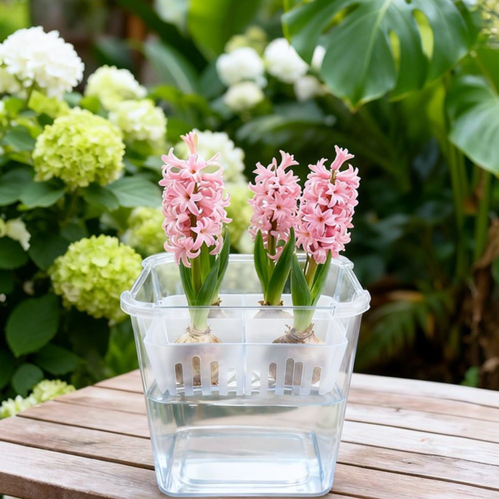 Plant Pot - Hydroponic Vase For Tulip Lily Bulb