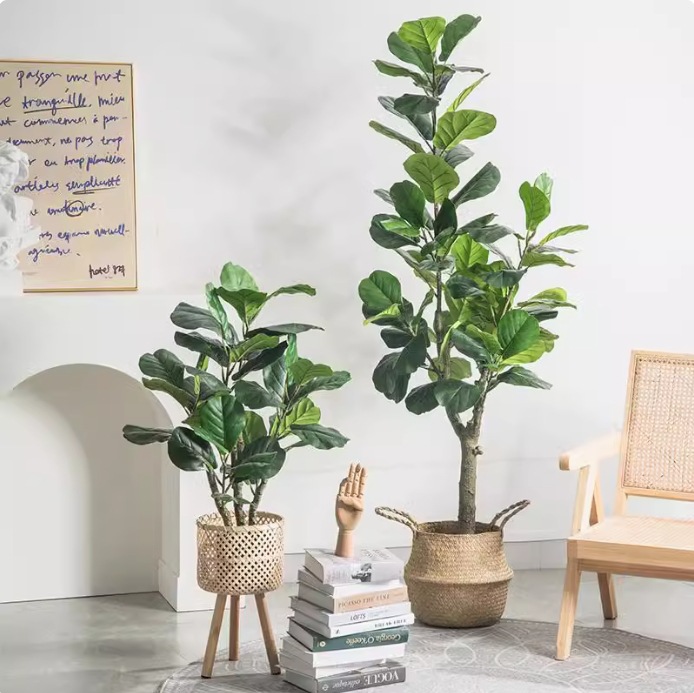 Artificial Plastic Potted Plan - đánh giá và giá Fiddle Leaf Fig
