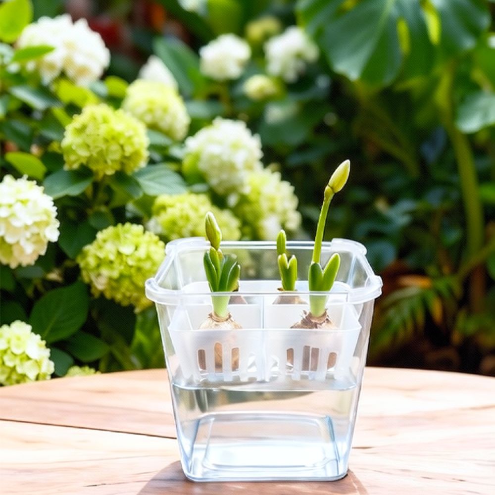 Hydroponic Vase For Tulip Lily - đánh giá và giá Plant Pot