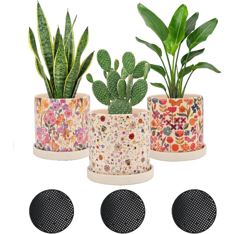 3Pcs Floral Ceramic Planters w - đánh giá và giá Snake Plant Ceramic