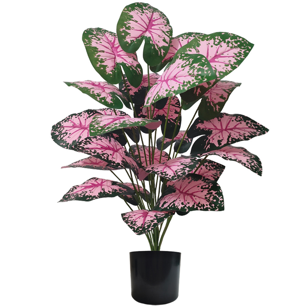 Pink Leaf Potted Plants Fake A - đánh giá và giá Snake Plant