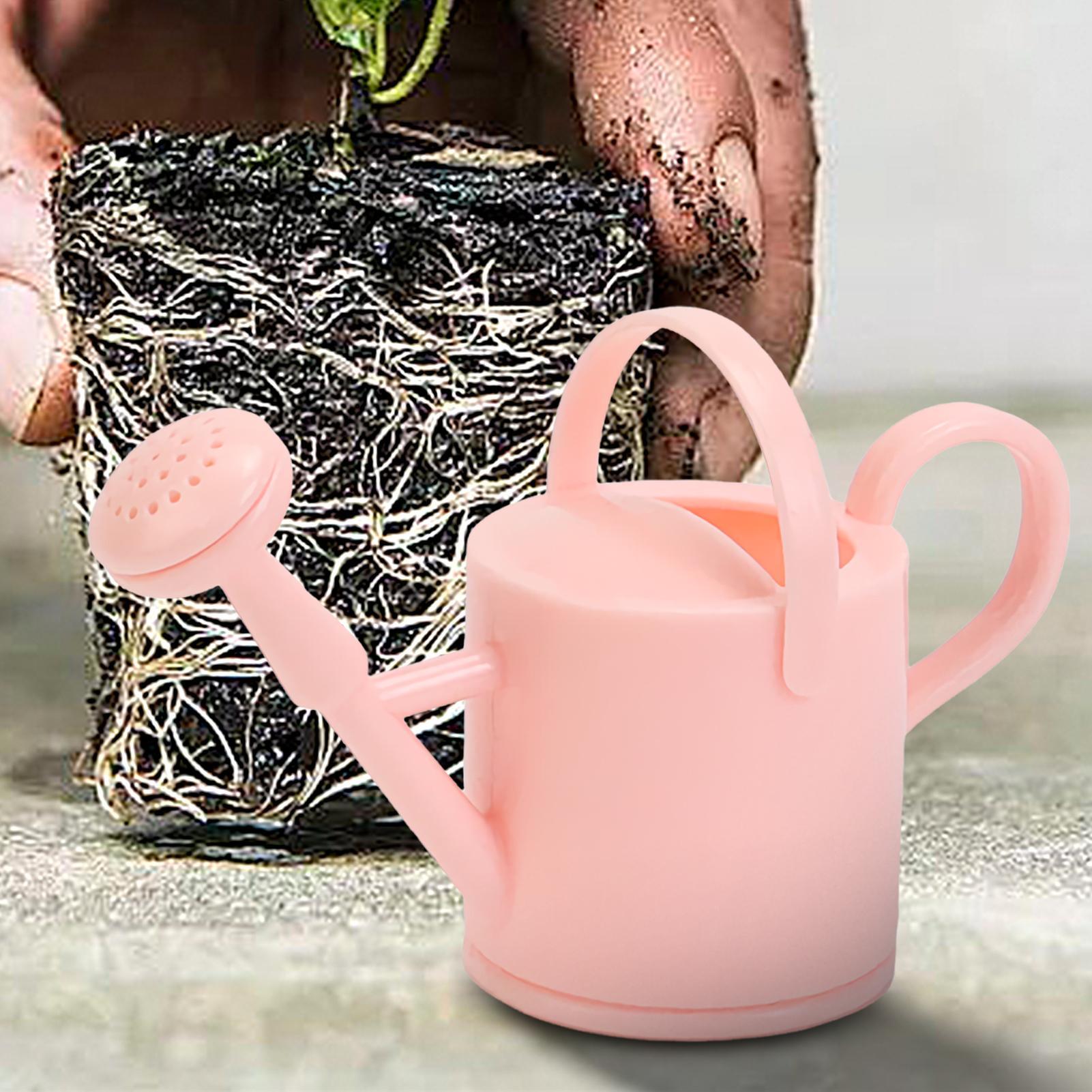 Small Kids Watering Can Flexib - đánh giá và giá Succulent Set