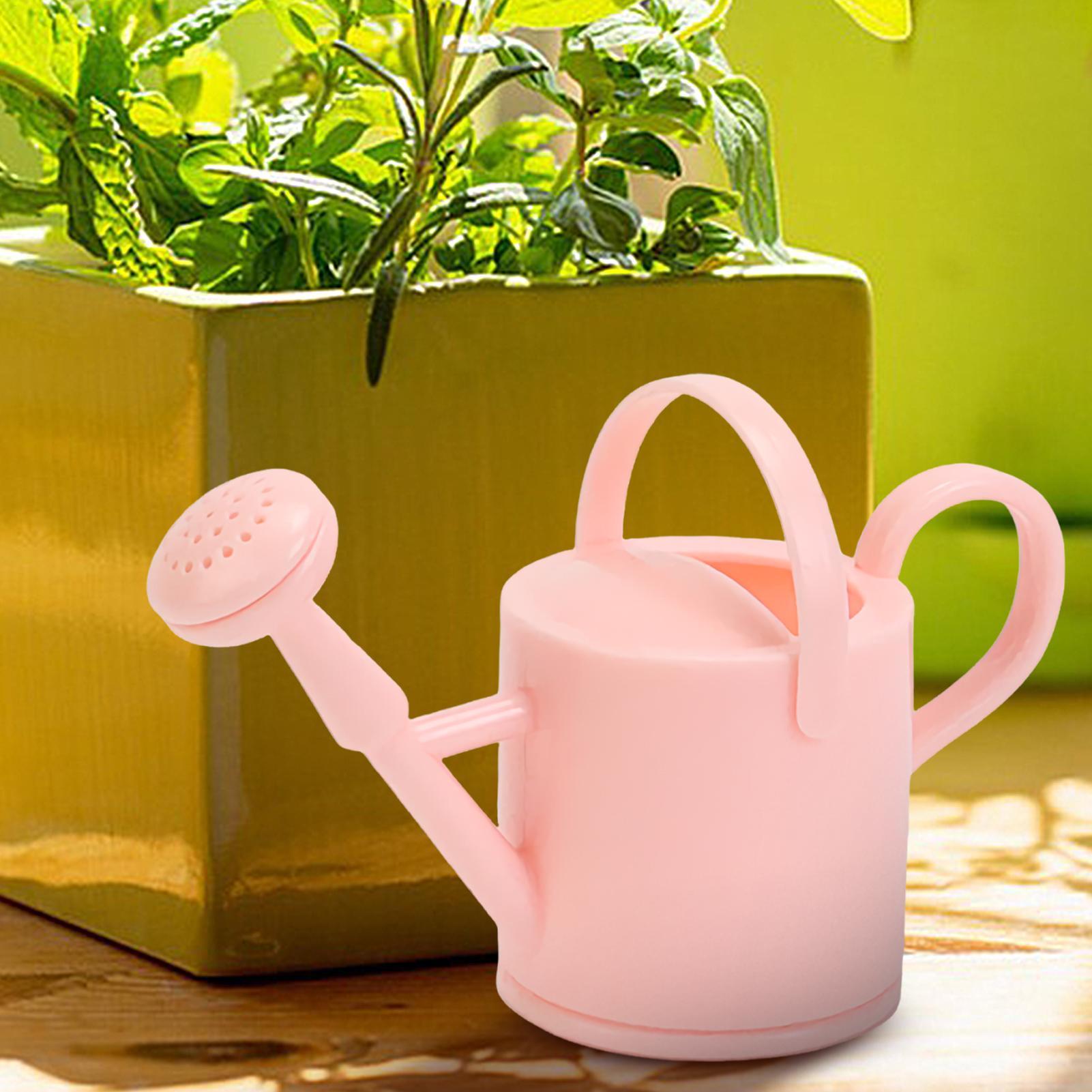 Small Kids Watering Can Flexib - đánh giá và giá Succulent Set